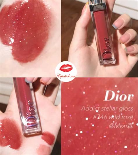 dior 746 wild rose|Dior Addict Stellar Gloss.